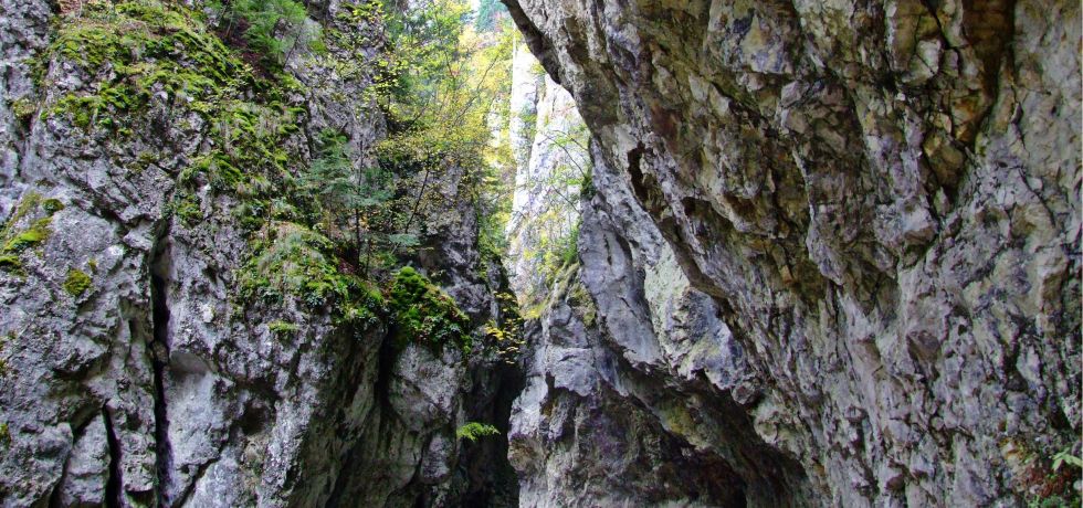 Триград, Родопи