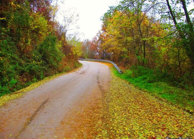 Роженски манастир