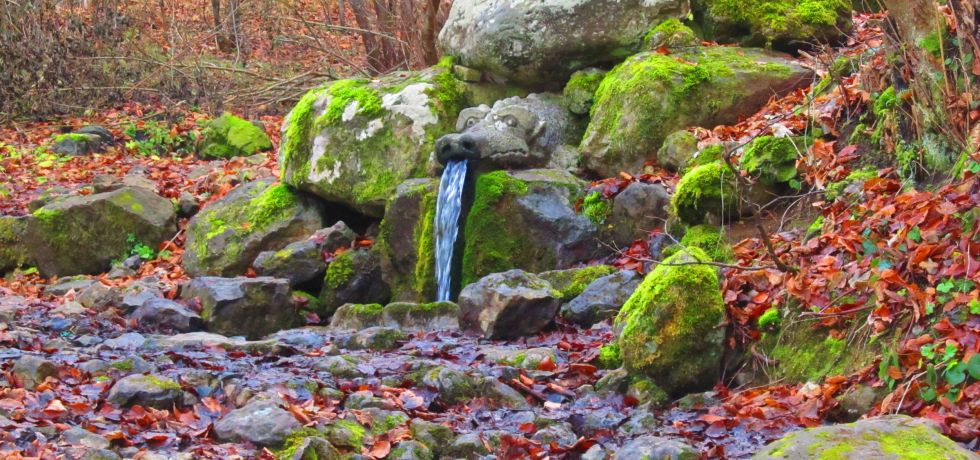 Боснек, Живата вода, около София