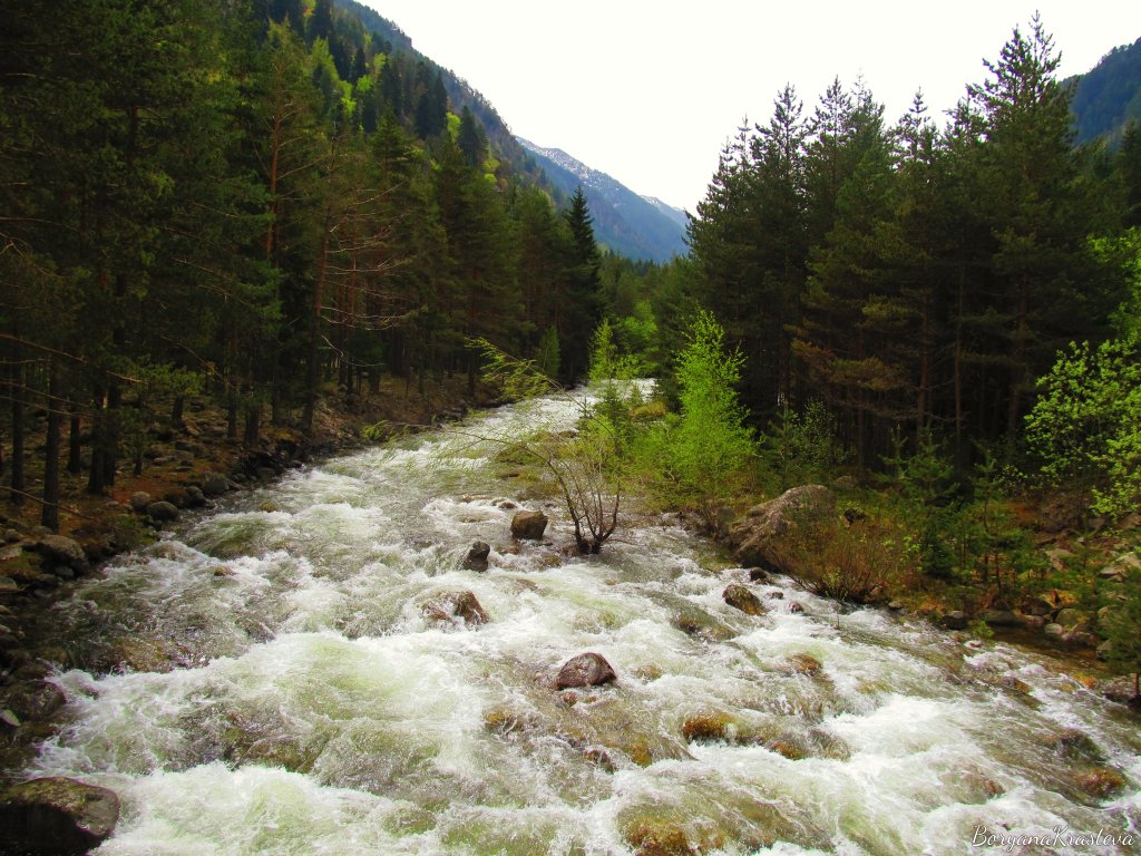 Бели Искър – нирвана край&nbsp;реката