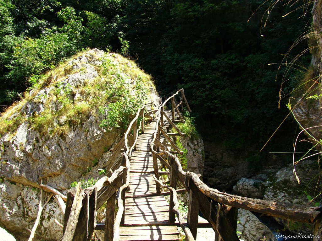 В ждрелото на&nbsp;р.Ерма