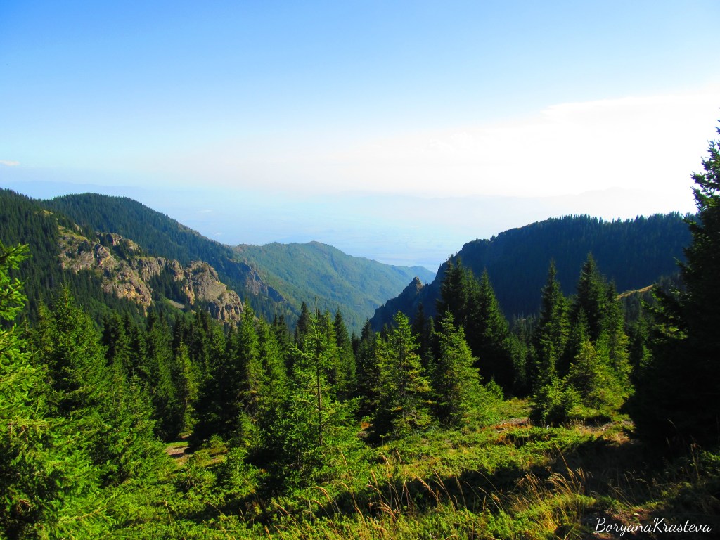 Хижа Добрила