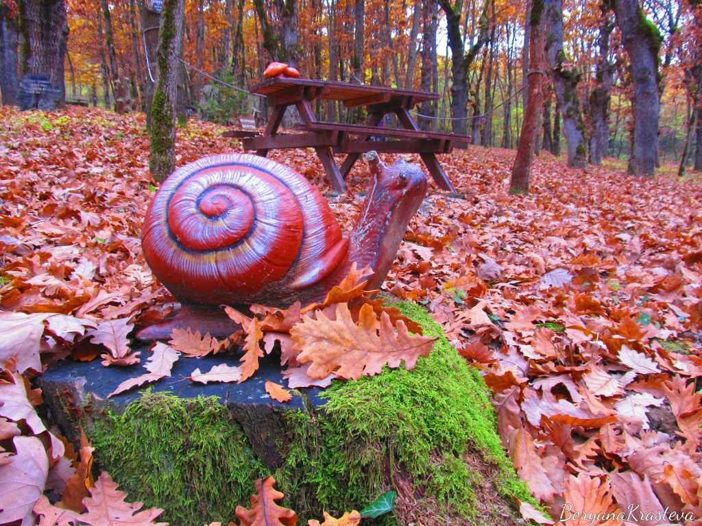 Небесните пасбища