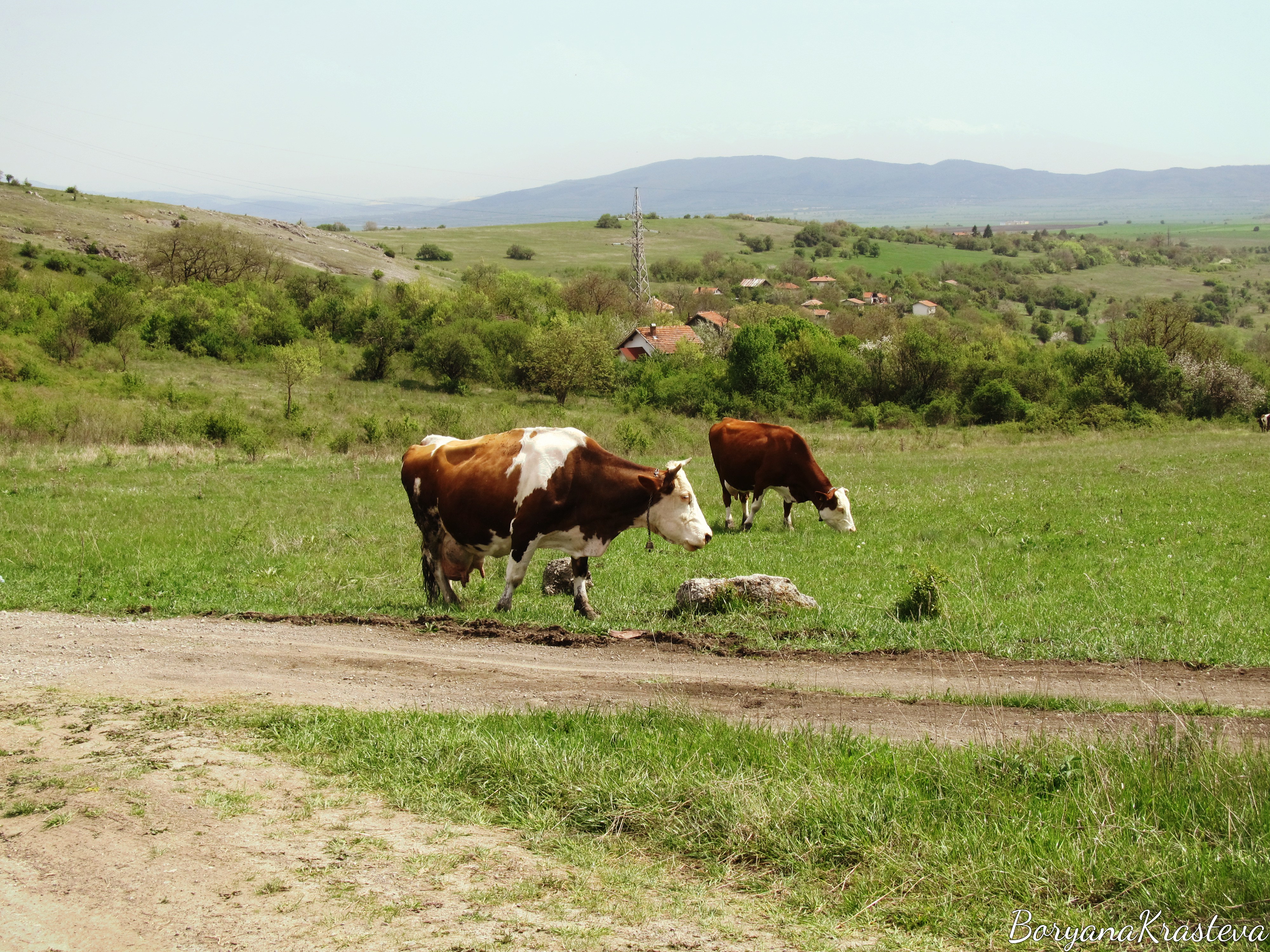 Пчелина, Лобош, параклис, Свети Йоан Летни, Поцърненци, язовир