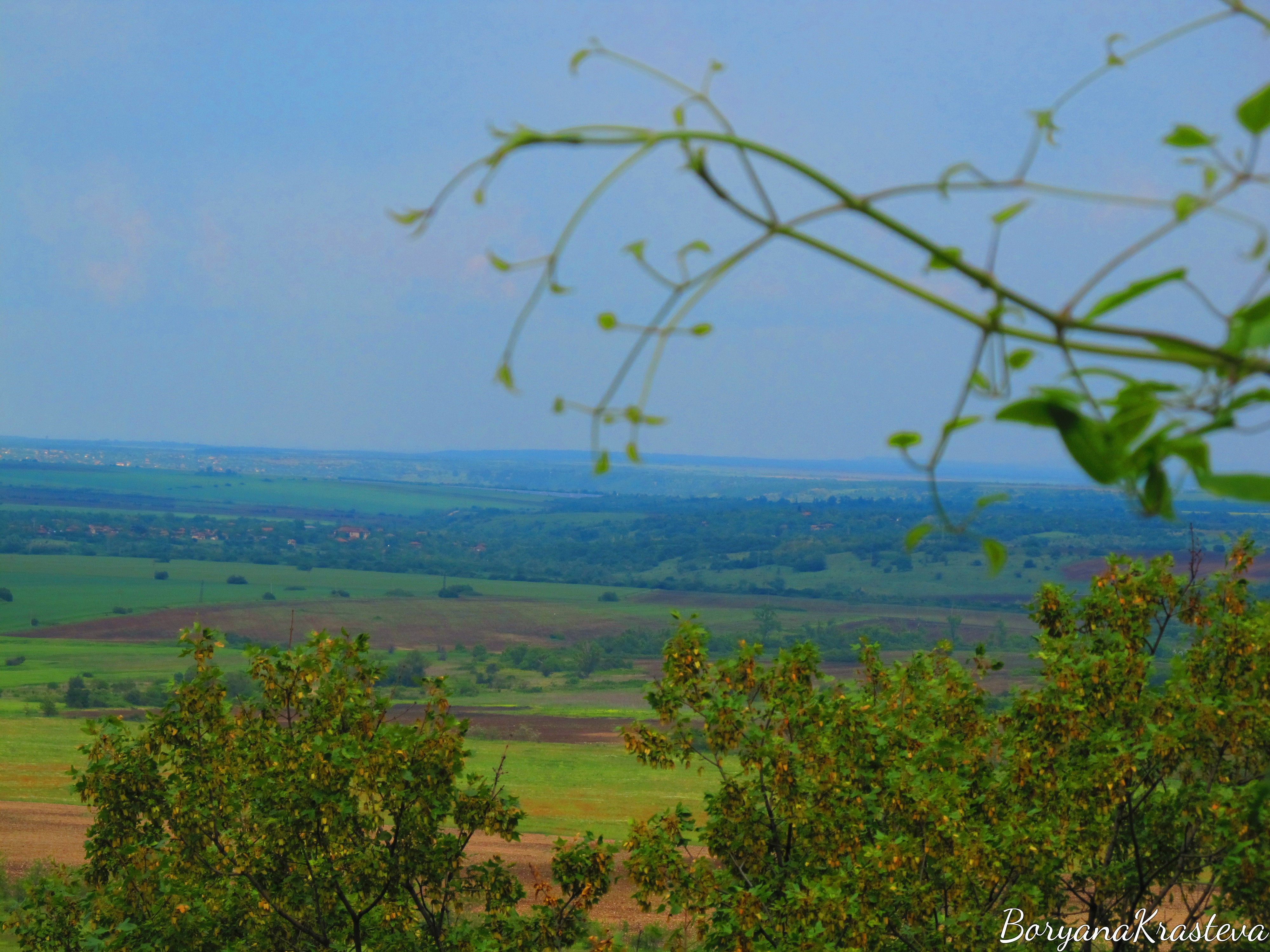 veneca, peshtera, oreshec