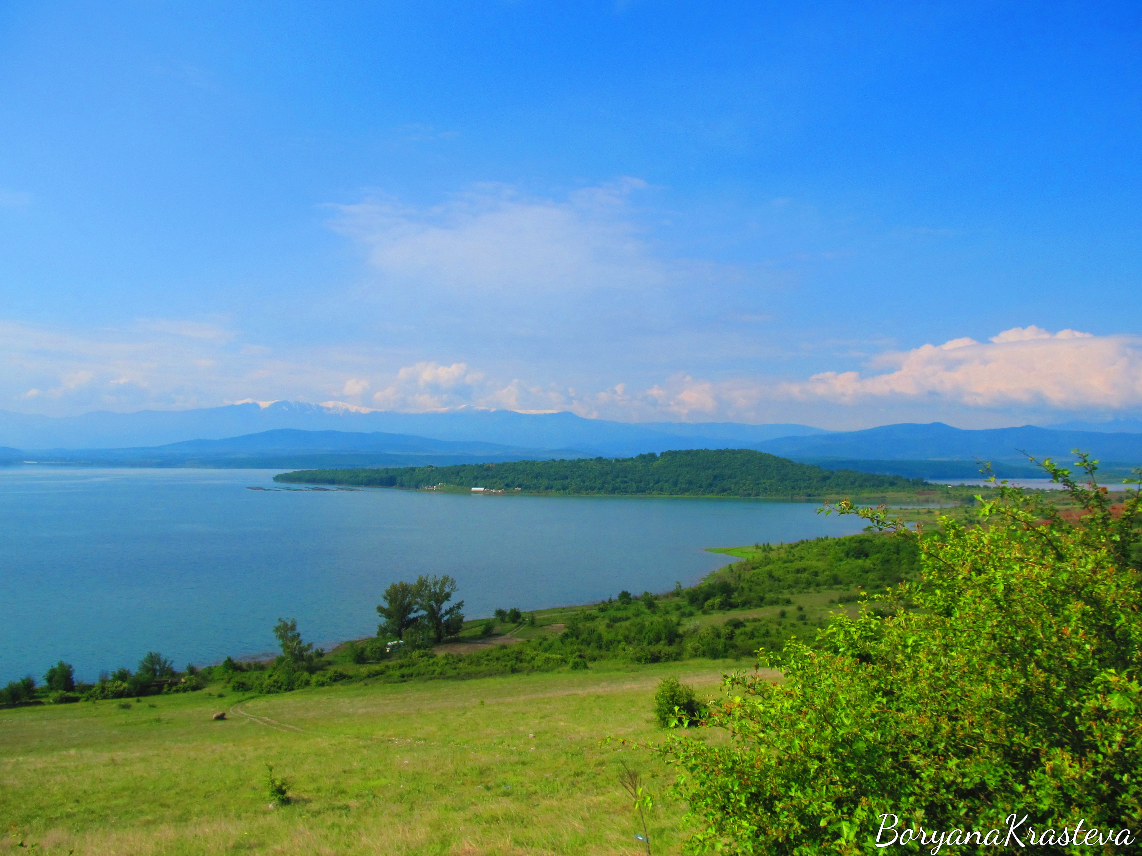 qzovir, ogosta, montana