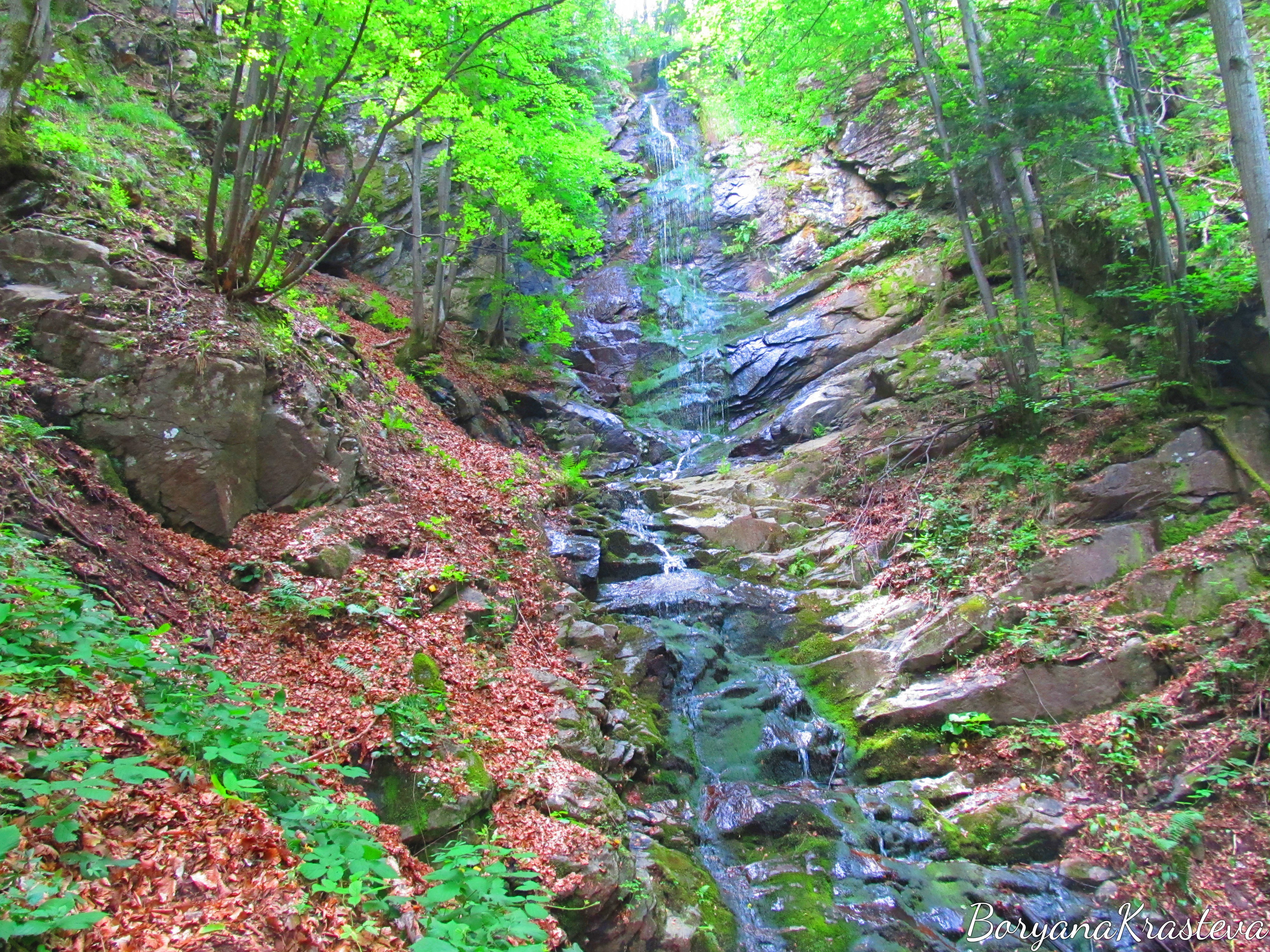 vodopad, skalovitec, kostenec