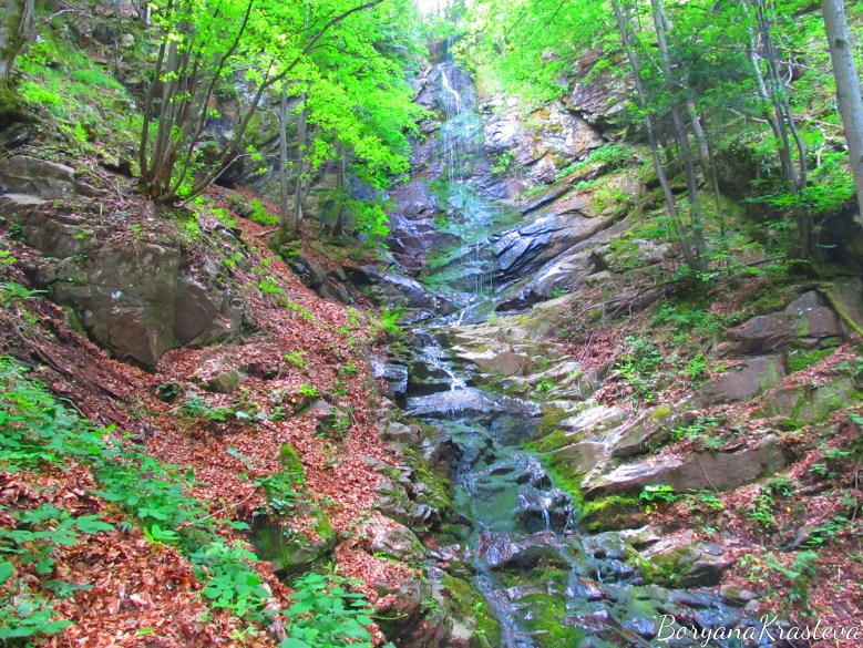 vodopad, skalovitec, kostenec