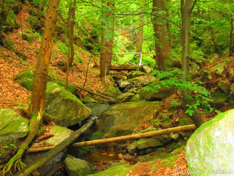 skalovitec, vodopad, kostenec