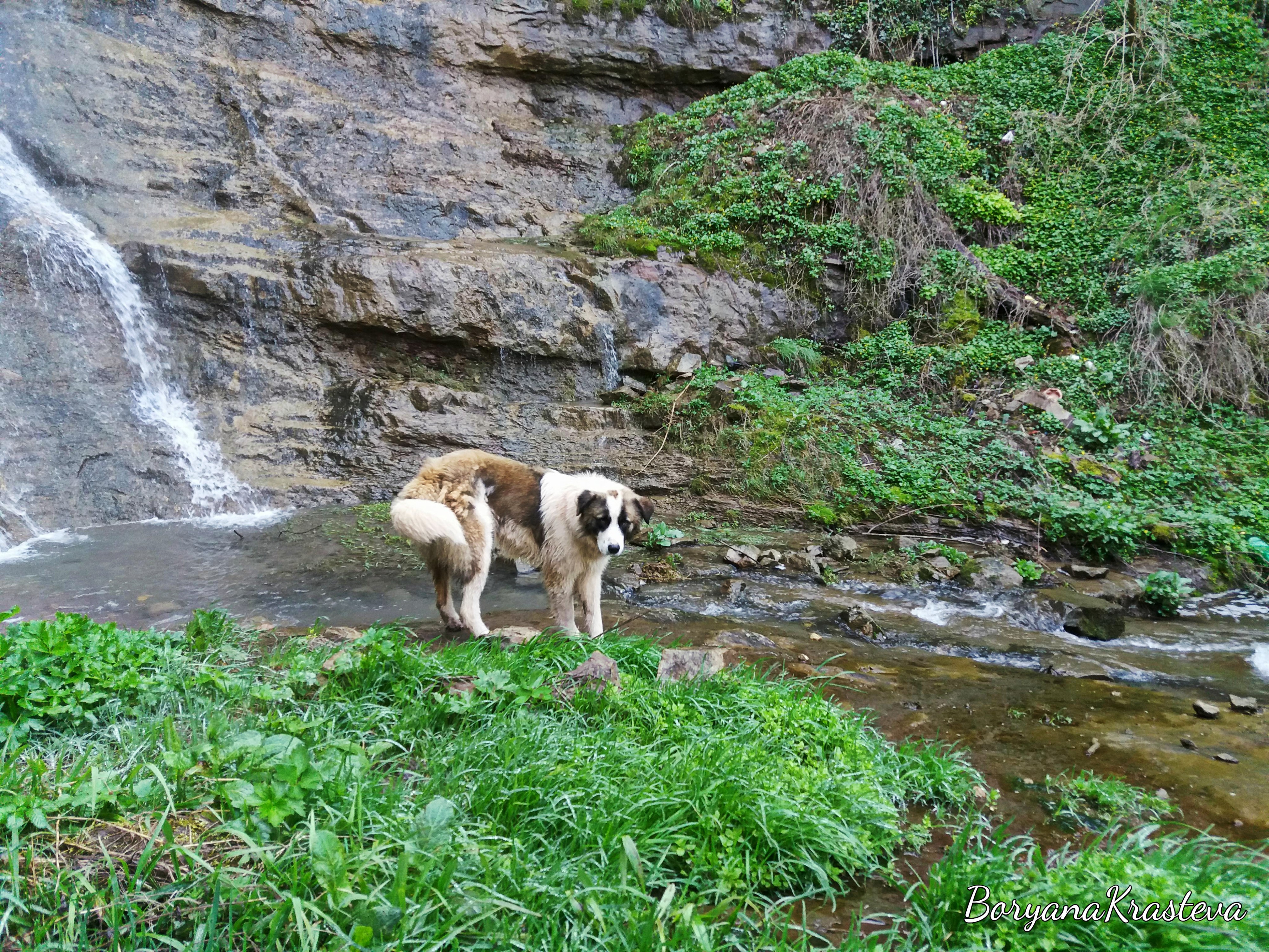 32472117_2054024531292449_883210224276602880_n