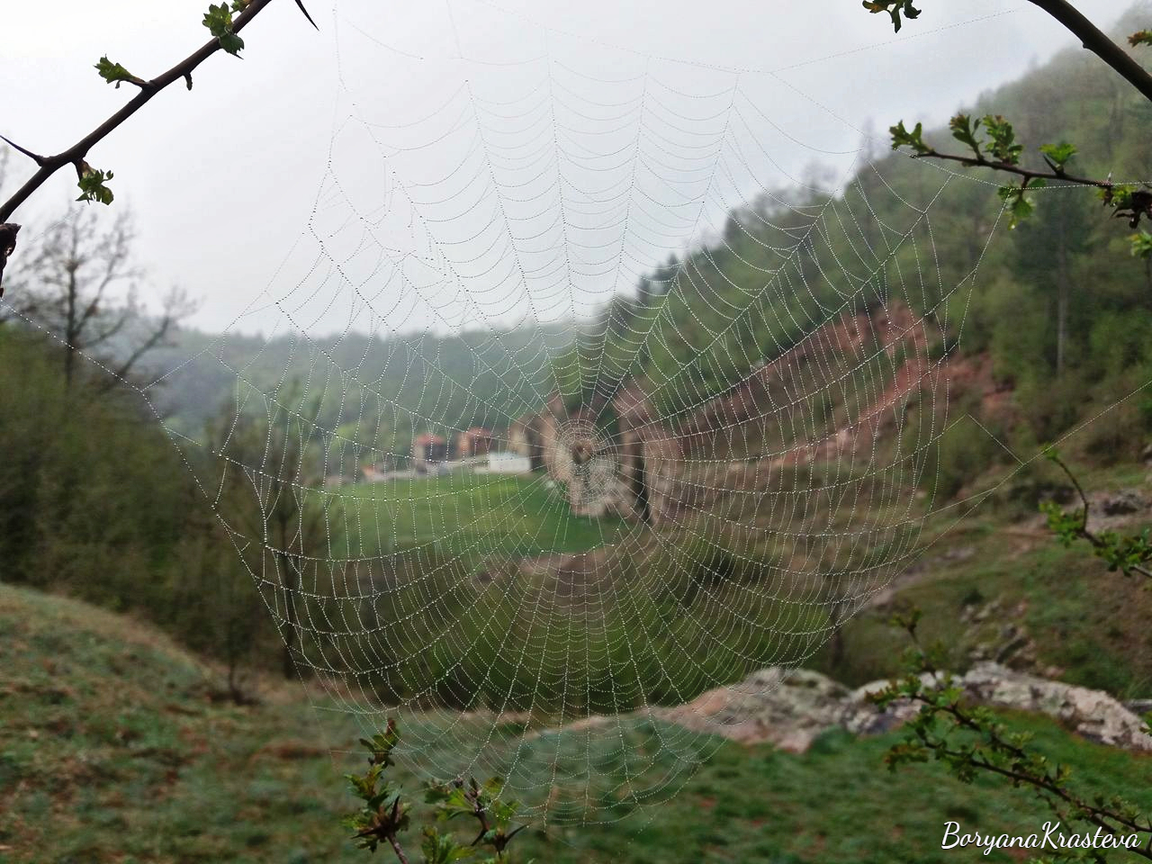 32525871_2054024837959085_6917691295800492032_n