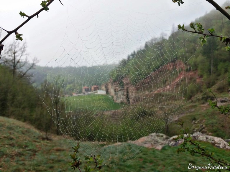 32525871_2054024837959085_6917691295800492032_n