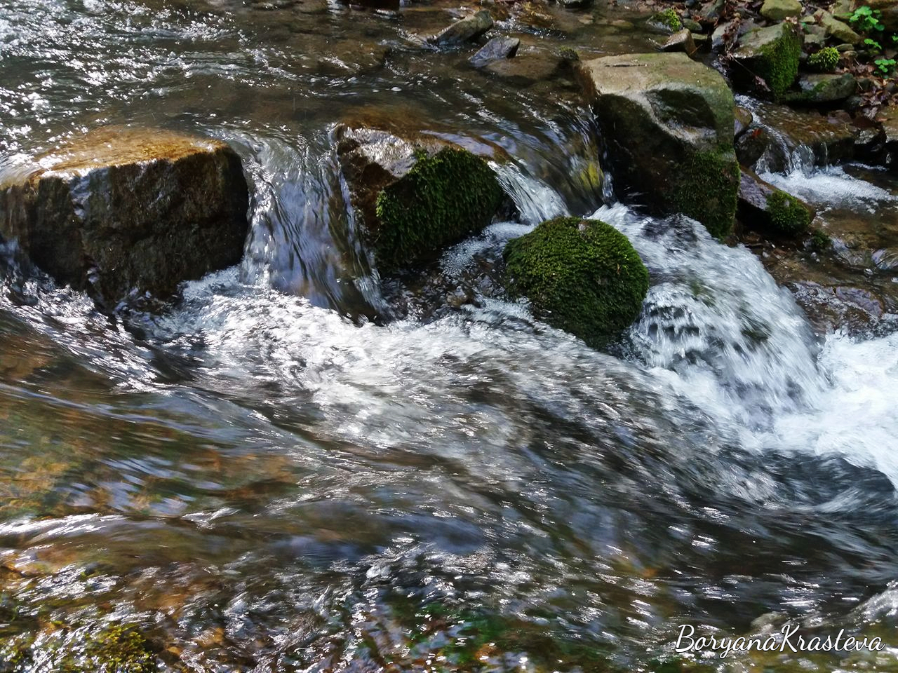 32525963_2054024984625737_4356577386385375232_n (1)