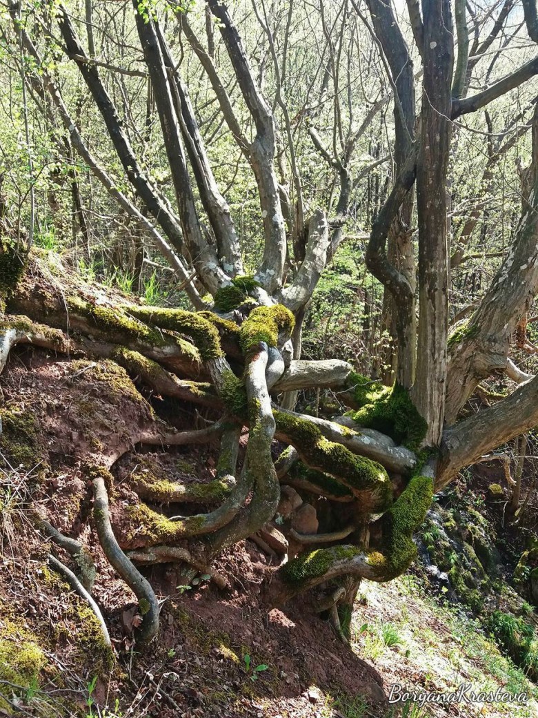 32603701_2054056701289232_3671070365079044096_n