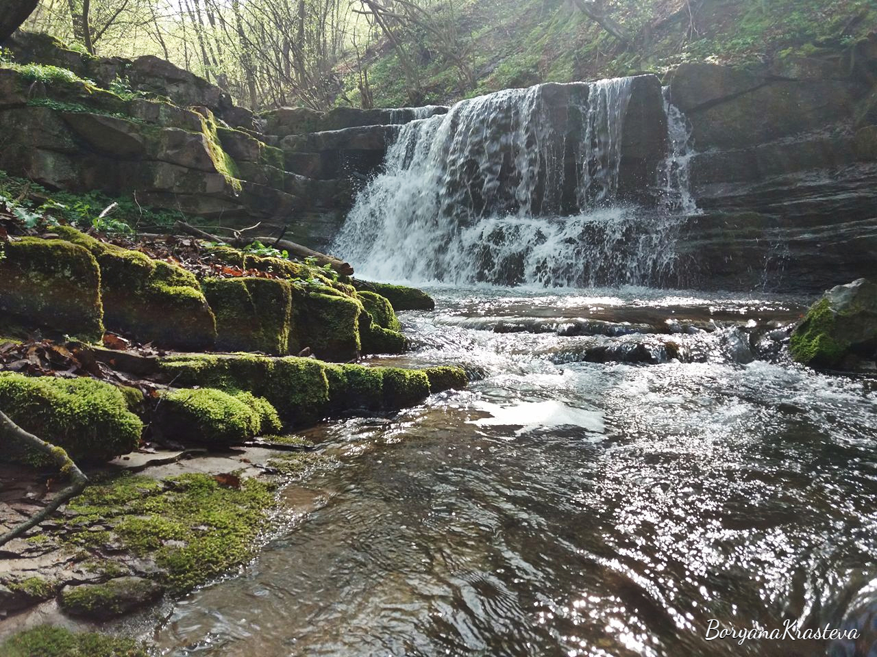 32640596_2054024911292411_411402096806461440_n (1)