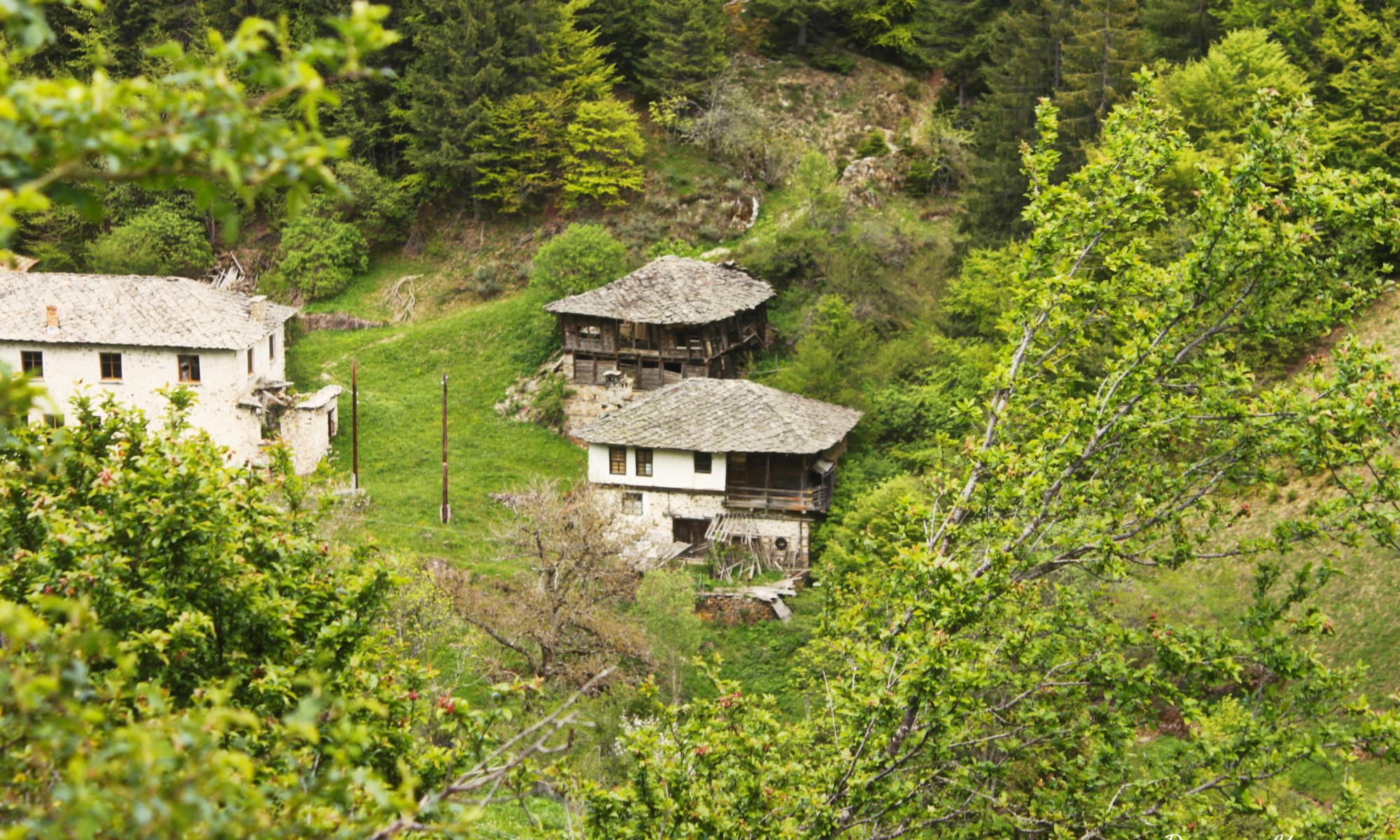 село, Върбово, Родопи