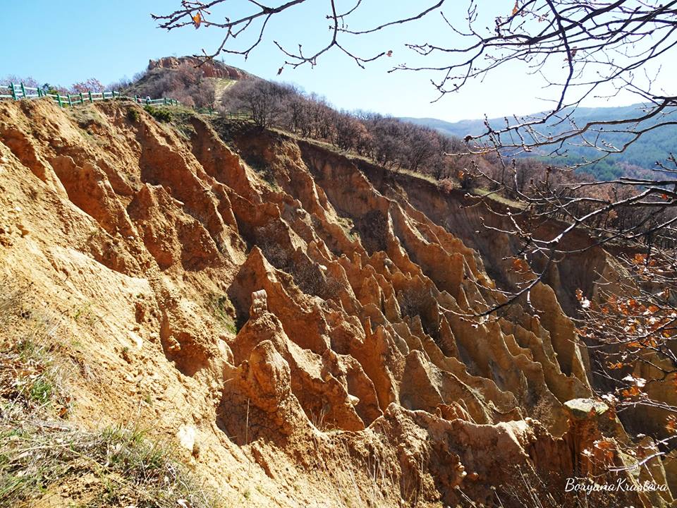 54436990_1273609899459613_8104284622453473280_n