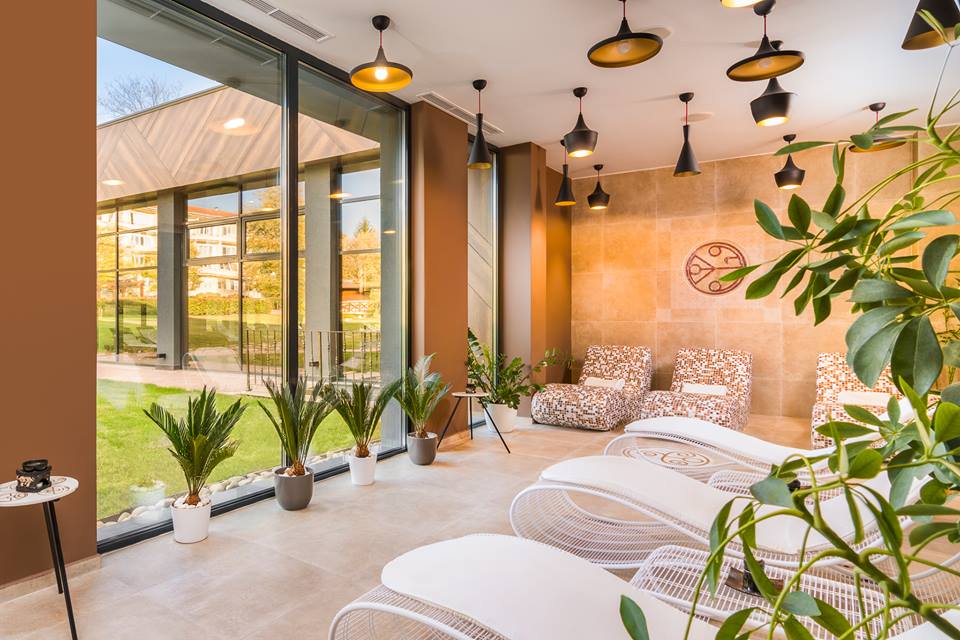 53362505_2378459738852836_4290456223129534464_n