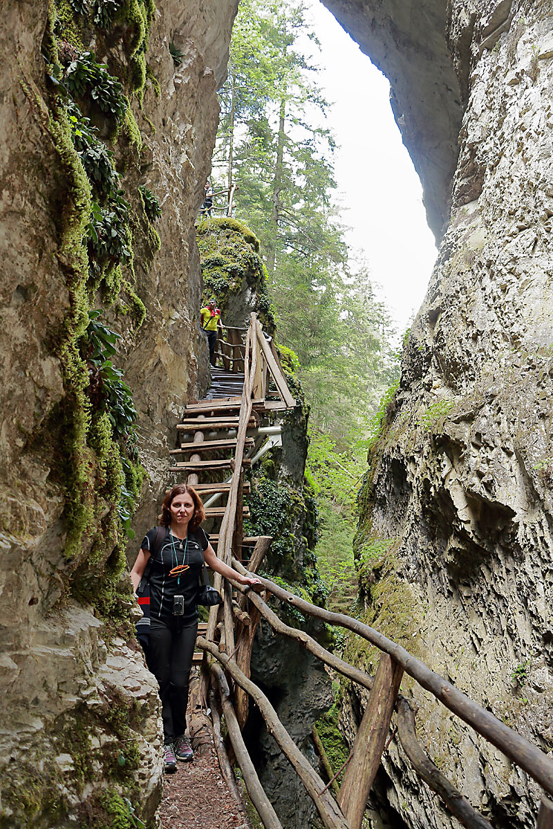 rodopite_dqvolskata_pyteka_2668