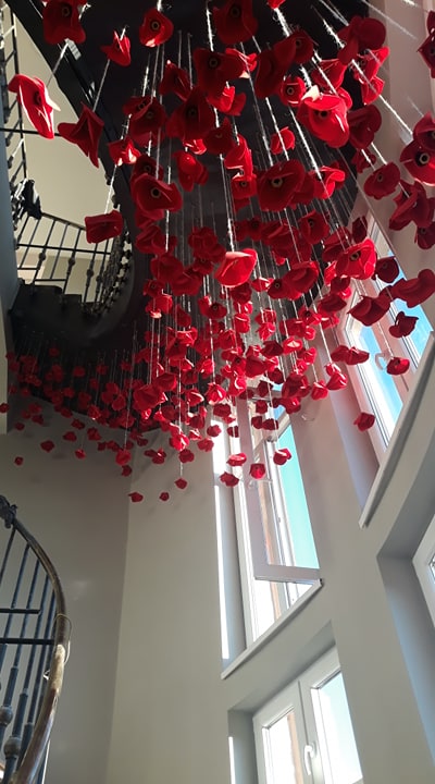 84352759_165006224933749_4137826030461124608_n