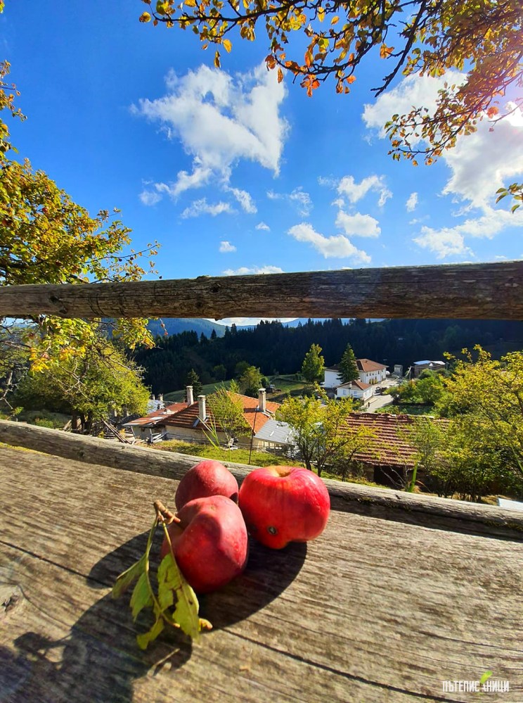 Гела, есен, Родопи