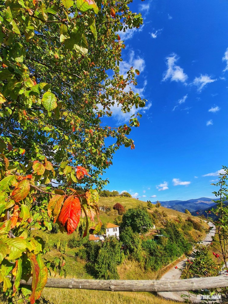 Гела, есен, Родопи