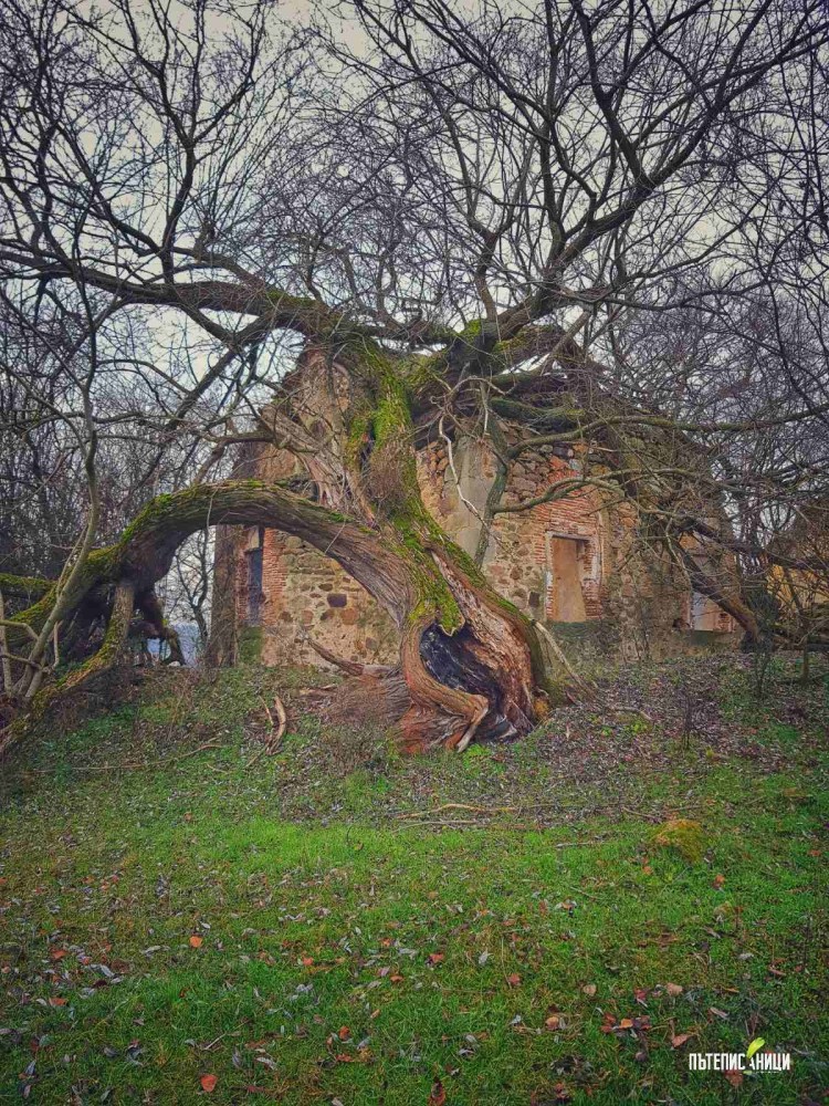 Виден, потопената църква