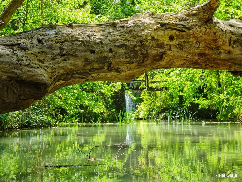 Бързо бягство до Хотнишки&nbsp;водопад