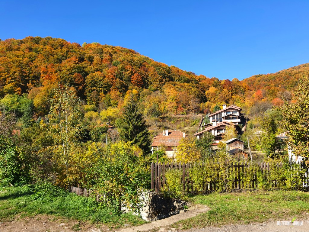 Последни мигове на есента в село&nbsp;Селце