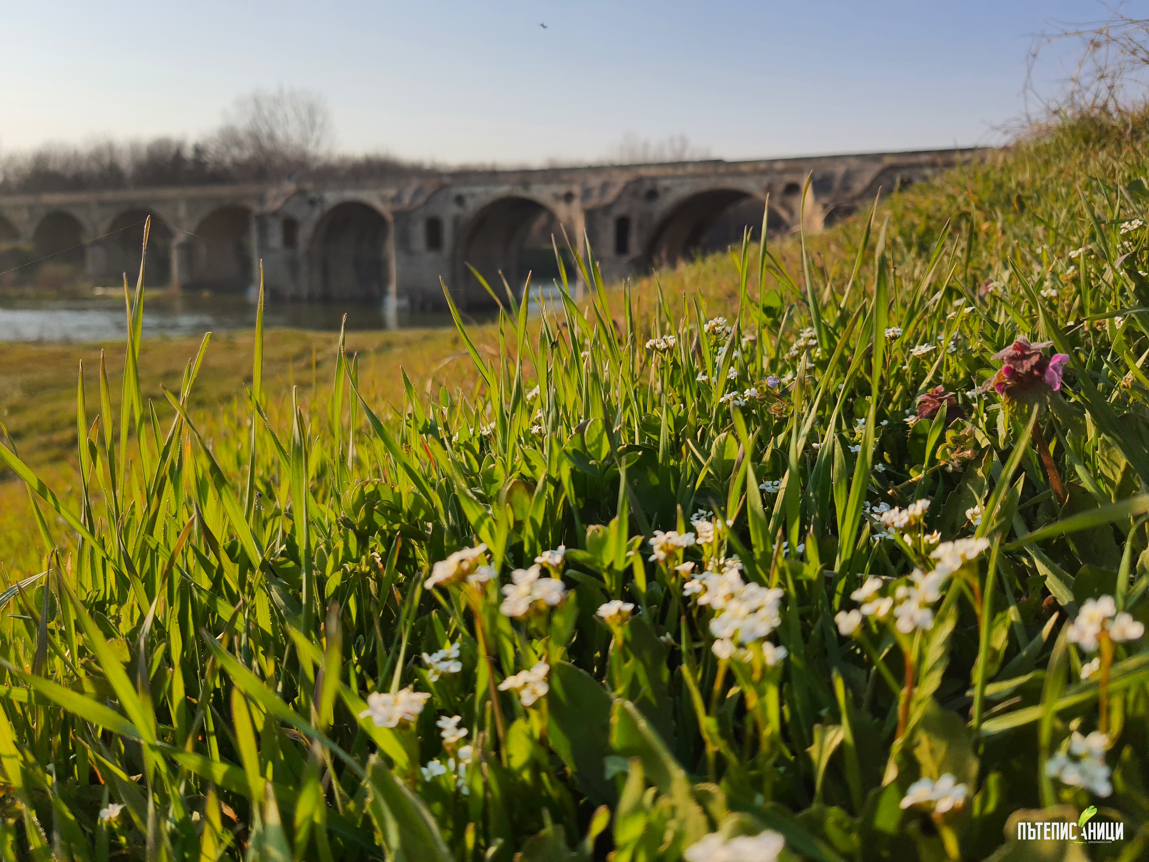 Беленски мост, Колю Фичето, Янтра, Бяла