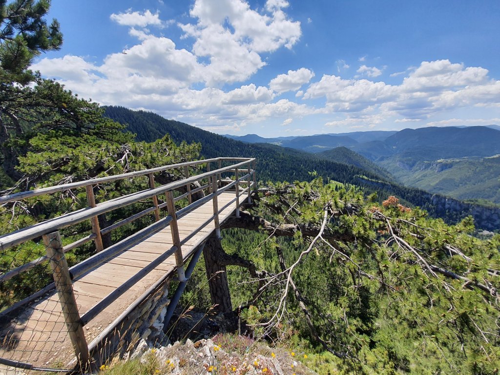 Родопски офроуд до панорамна площадка Вълчи&nbsp;камък