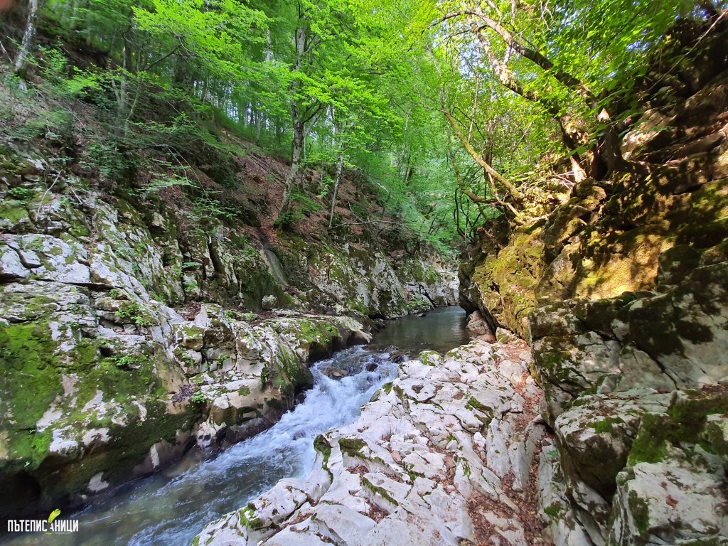 Каньон Горло – по стъпките на&nbsp;реката